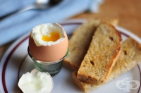 ������ ���� �������